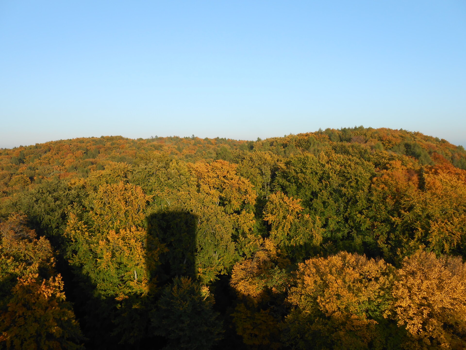 Куди поїхати на вихідні: Ліповецький замок липовецький замок,замок біля кракова,замок липовець View From The Lipowiec Castle Tower In Autumn UAinKrakow.pl