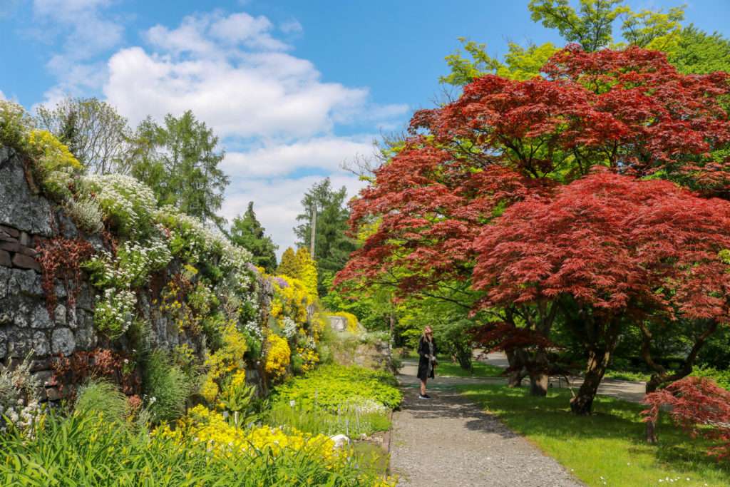 Ботанічний сад Кракова: чому його варто відвідати? [ФОТО]  Lrm Export X UAinKrakow.pl