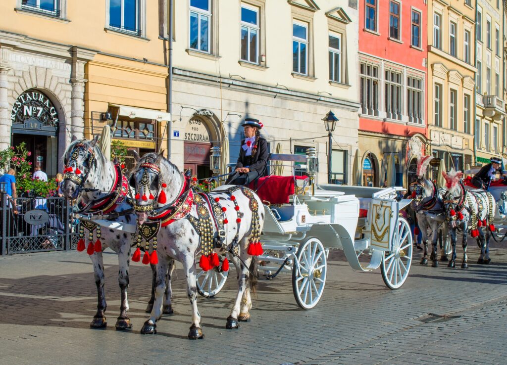 Краківські захисники тварин виступають проти експлуатації коней в місті krakow 1665094 1920 1024x738