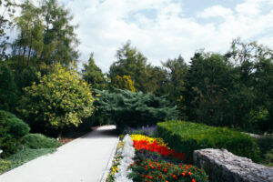 Останній місяць роботи Ботанічного саду Кракова в цьому сезоні [ФОТО] img 2481 300x200