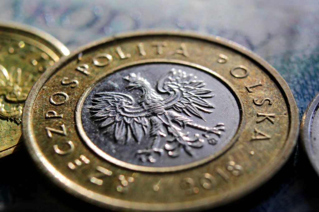 В Польщі випустять банкноту номіналом 1000 злотих. На ній зобразять жінку coin 5681200 1280 1024x682