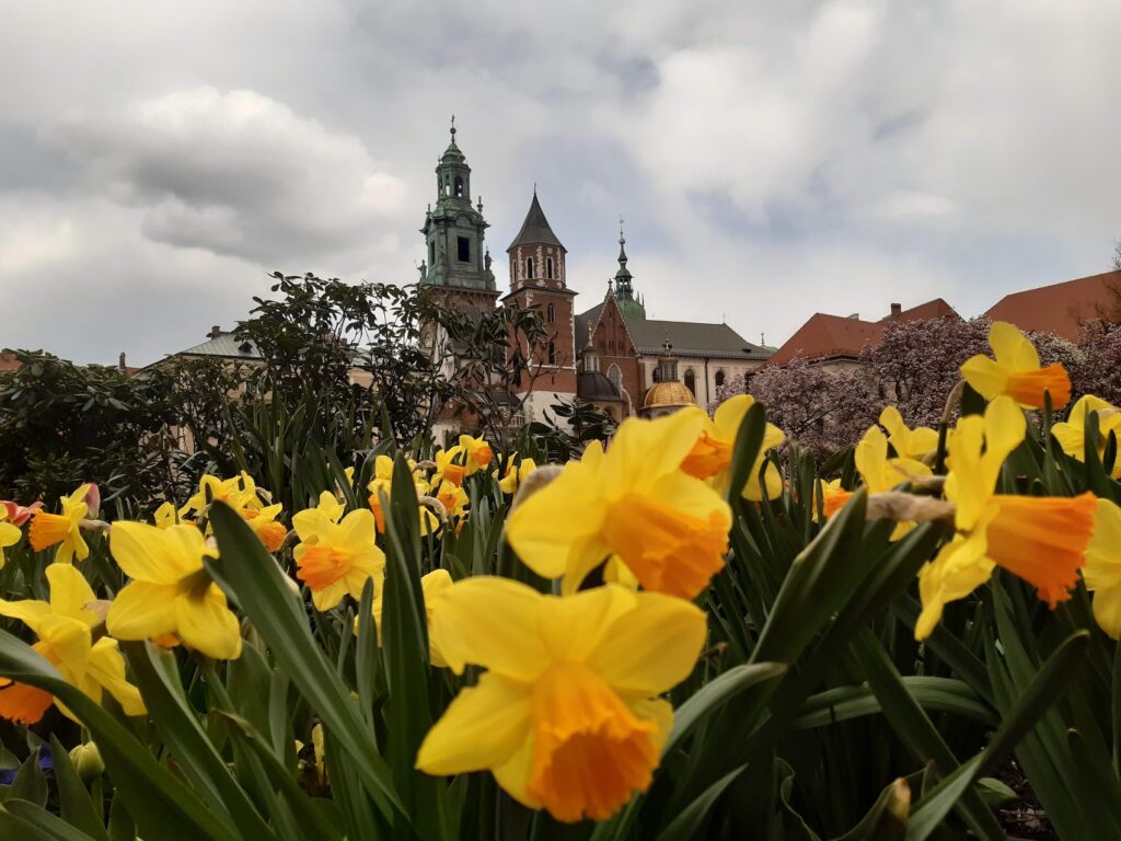 Розповіді про сади у Кракові. Частина IІ: королівські та приватні 20210425 124350 1024x768