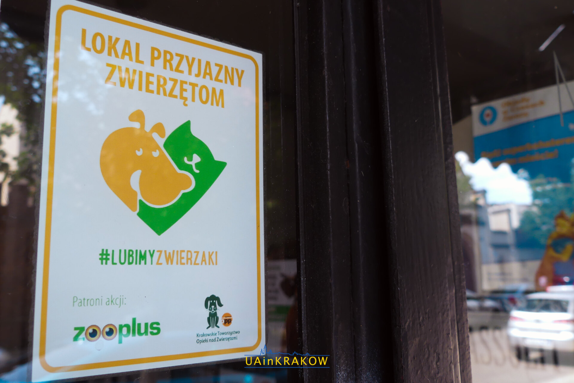 З песиком до кафе: де знайти pet-friendly заклади у Кракові Pet Friendly P UAinKrakow.pl